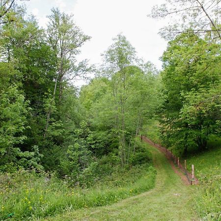 Moulin D'Entre Les Roches Bed & Breakfast Puivert Bagian luar foto