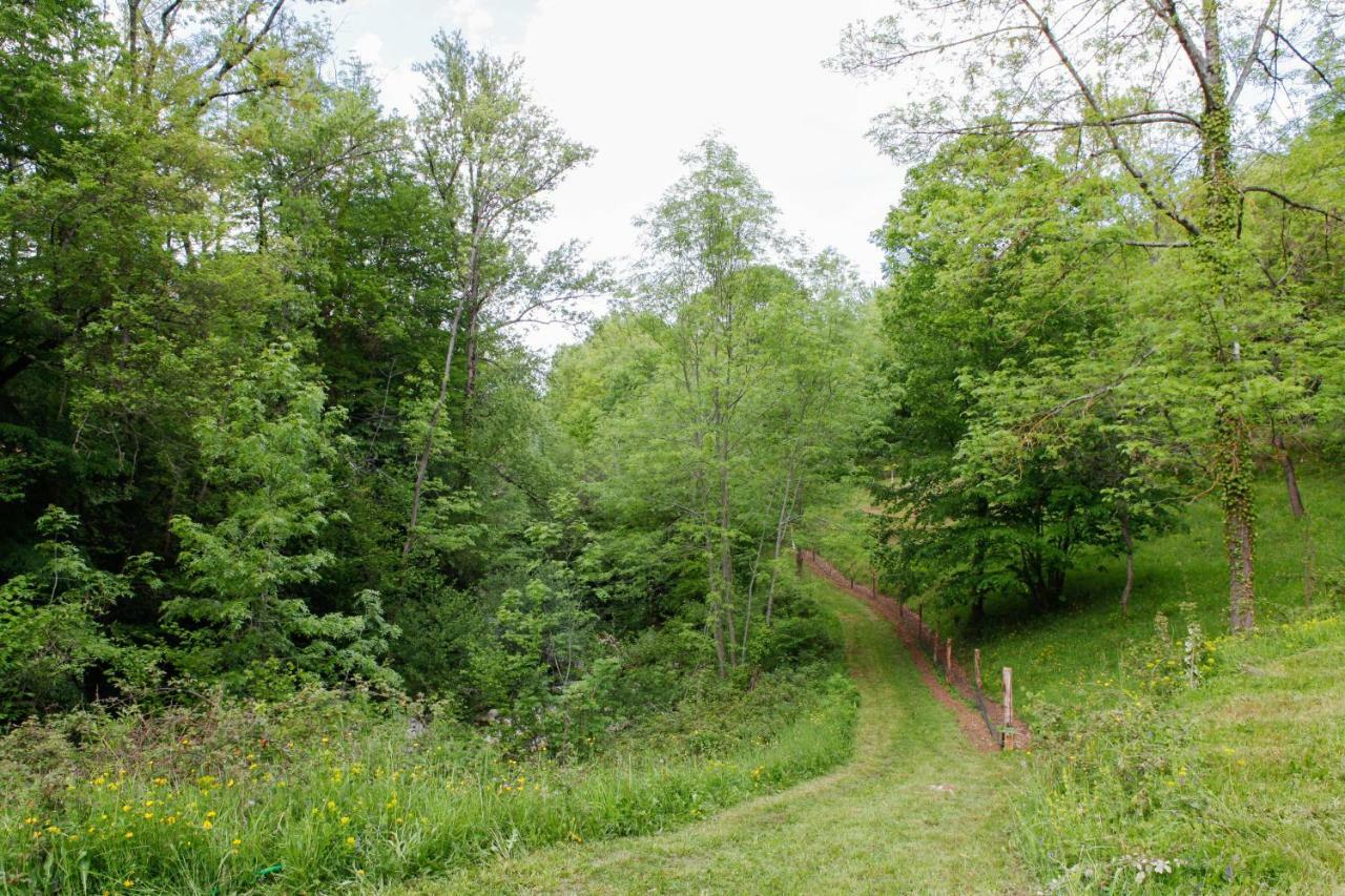 Moulin D'Entre Les Roches Bed & Breakfast Puivert Bagian luar foto